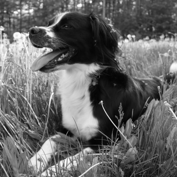 Meet your Posher, Kirsten - Picture 2 of 2